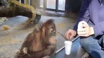 小刚爆料视频,幕后真相大曝光  第3张